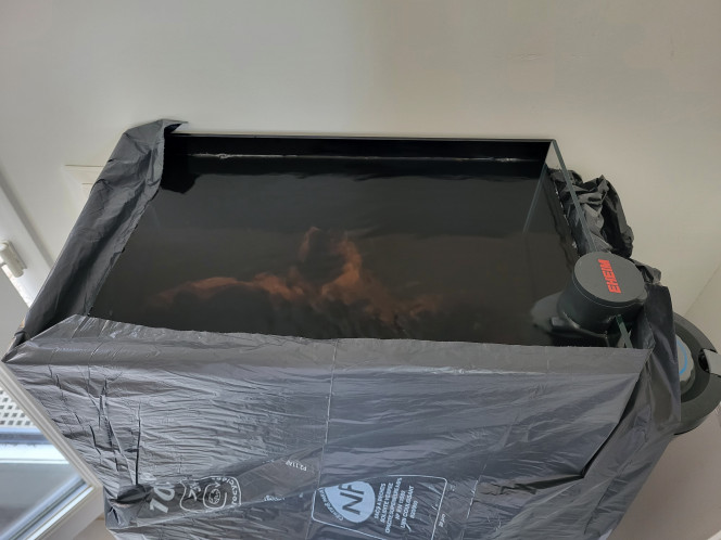  Pic de nitrites passé 28 jours après la mise en eau.