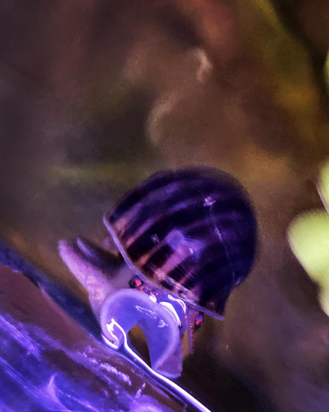 Photographie du post de Nalia 