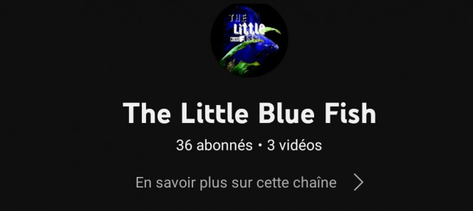 Photographie du post de Lulu82 