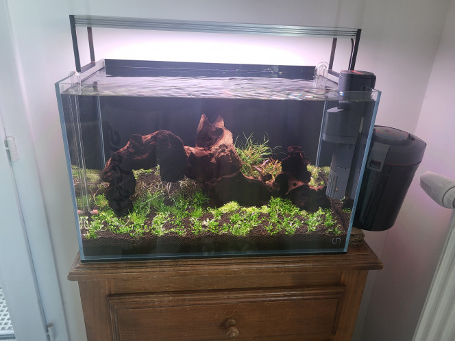  Plantation effectuée en totalité par mes filles !