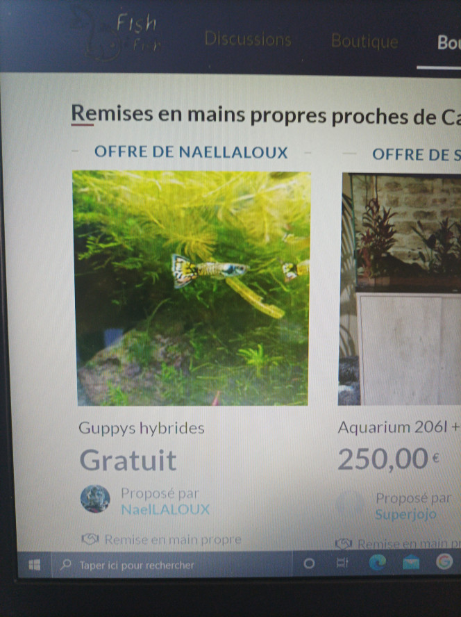 Photographie du post de NaelLALOUX 