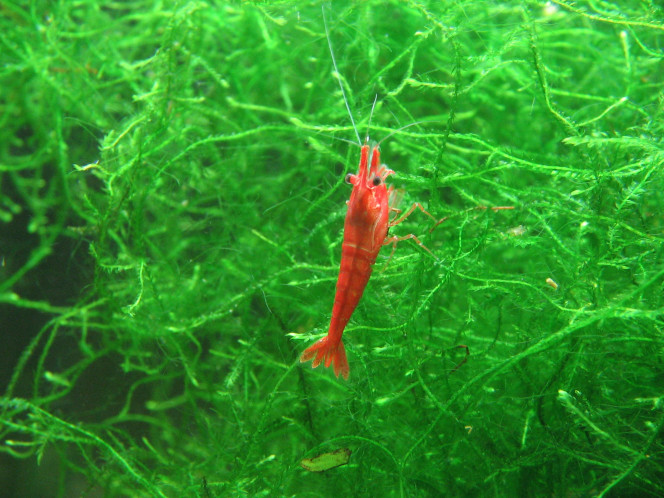Photographie du post de AquaLolavier 