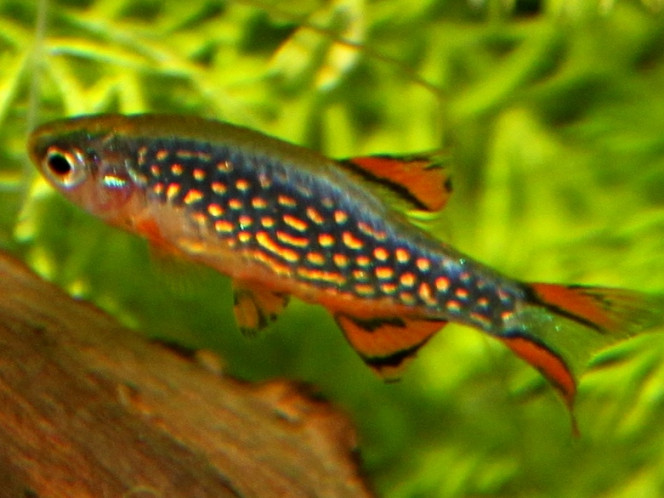Photographie du post de AquaLolavier 