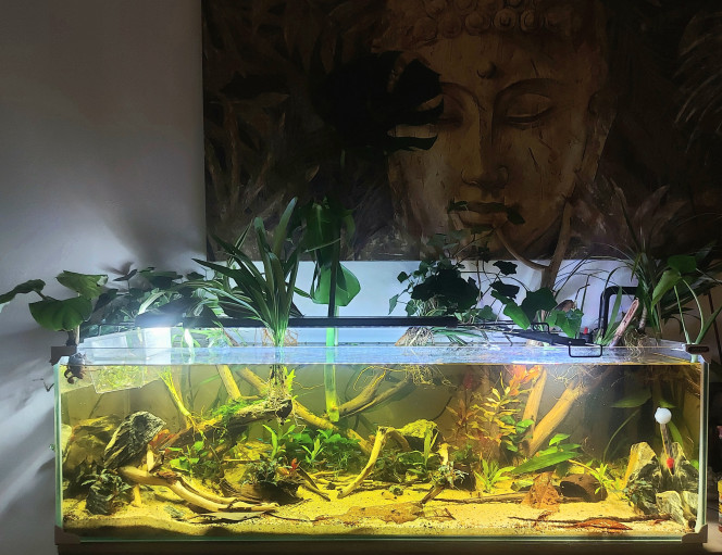 Photographie du post de Aquagirl 