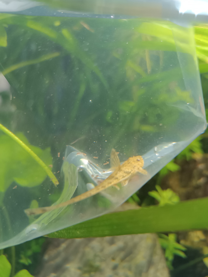 Photographie du post de Delflabelette 