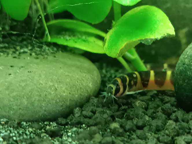  Malgré 1 décès à déplorer la première nuit, les premiers habitants du 120L prennent leurs repères et semblent bien se porter.