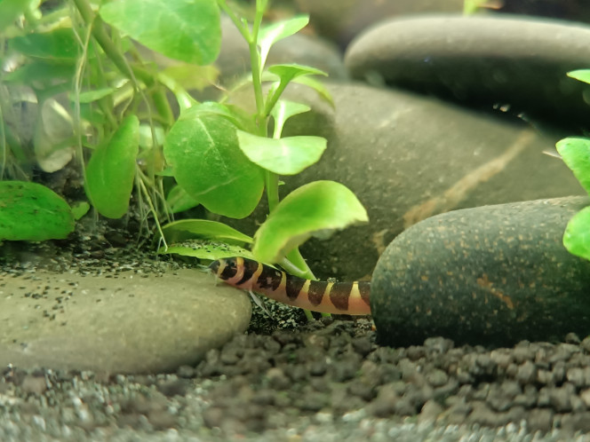  Malgré 1 décès à déplorer la première nuit, les premiers habitants du 120L prennent leurs repères et semblent bien se porter.