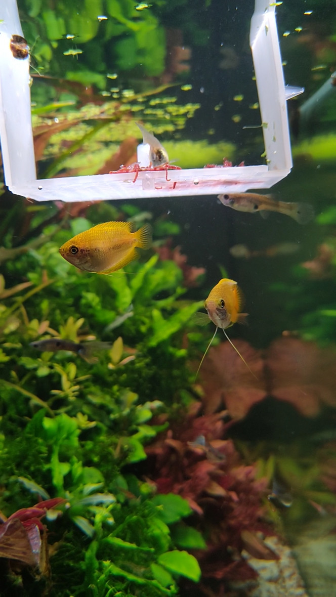Photographie du post de MarleneMLX 