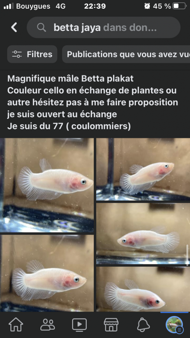 Photographie du post de Nalia 