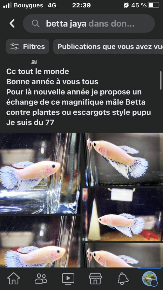 Photographie du post de Nalia 