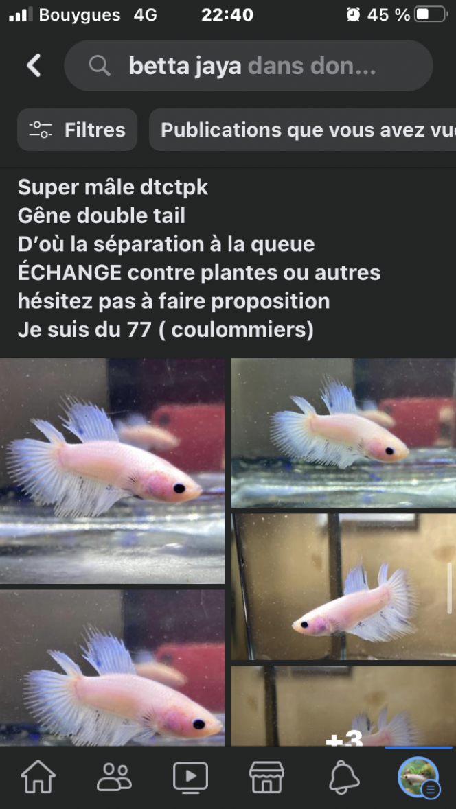 Photographie du post de Nalia 