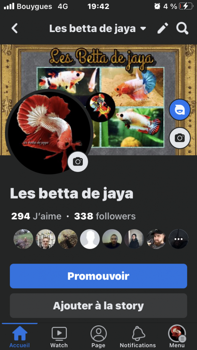 Photographie du post de Nalia 