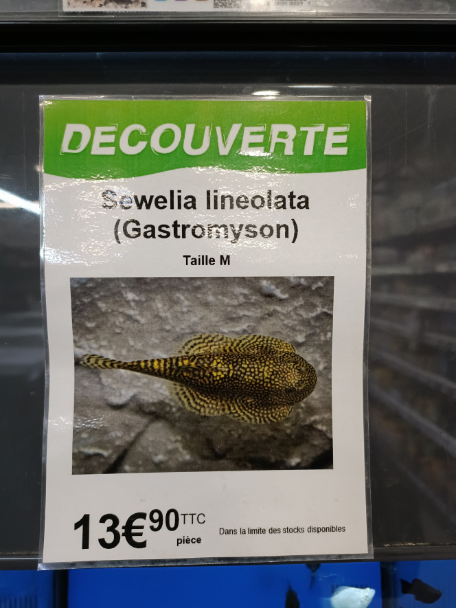 Photographie du post de kreation 