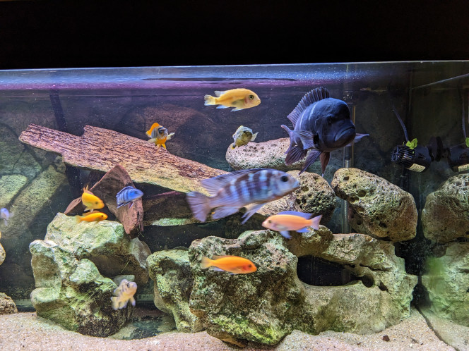  nouvelle photo après changement de décor
