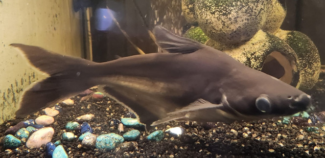 Photographie du post de LJ29200 