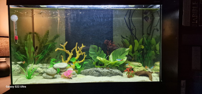 Aquarium 54 litres 