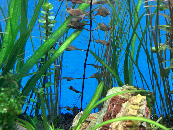 Photographie du post de Omez78 