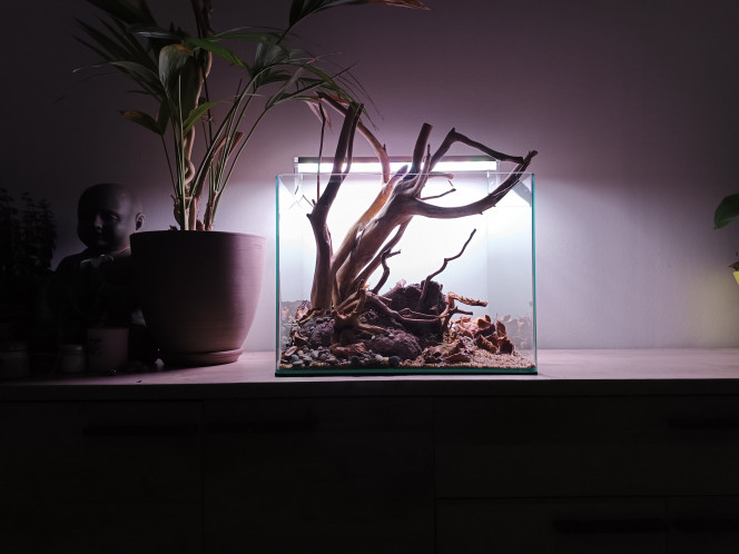  Suite dans 1 semaine pour la plantation et la mise en eau