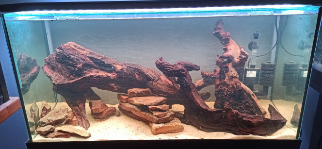 Hardscape provisoire 