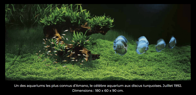 photo issue du site https://www.aquarium-paris.com/ 