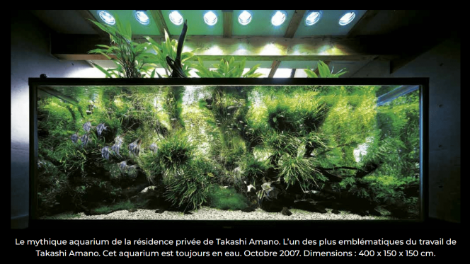 photo issue du site https://www.aquarium-paris.com/ 