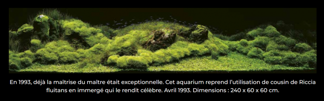 photo issue du site https://www.aquarium-paris.com/ 