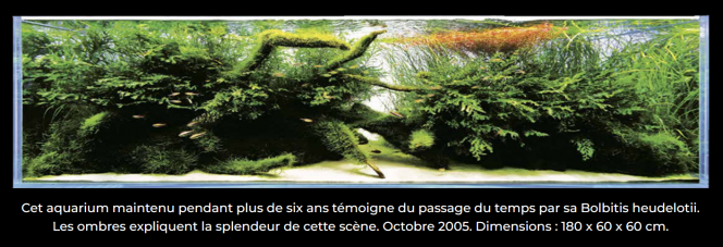 photo issue du site https://www.aquarium-paris.com/ 