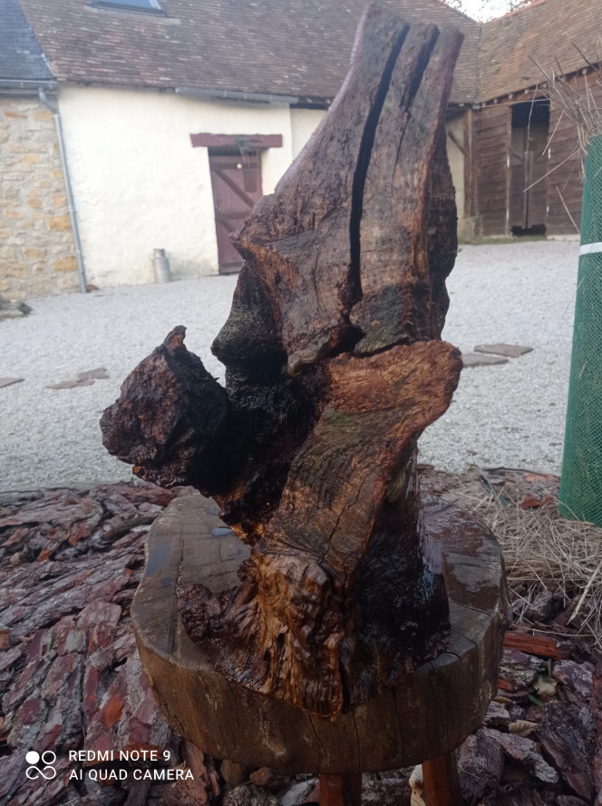 Photographie du post de Tijean46 