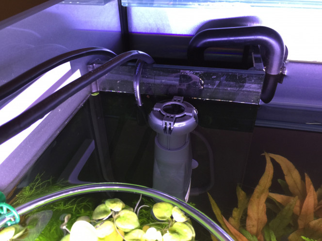 Skimmer pour faire disparaître le voile de surface J'ai choisi de tester le petit skimmer EHEIM "skim350" dans mon bac et je dois dire que ce petit appareil fonctionne parfaitement ----- Il fonctionne indépendamment du filtre ----- Je l'ai branché sur un timer, et j'ai programmé 15mn de fonctionnement toutes les deux heures pour limiter le courant dans mon bac (il brasse 300l/h) ----- Il ne fait presque aucun bruit, chic et pas cher.