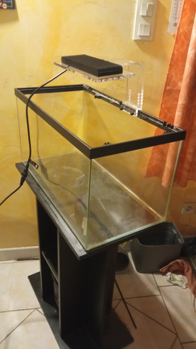  Aquarium nettoyer et vidé hier soir après avoir passé une journée entière a traquer et capturer ses habitants ( énormément red cherry + 7 pygmeus trois parents et 4 bébé né chez moi ).