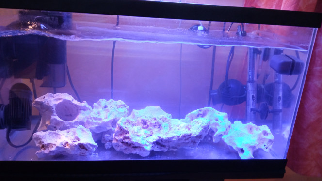 Aquarium en eau Il y a 6 kg de pierre morte, la densité est de 1025 pour une température de 26°C. 
Un Ph de 8,2 et un Kh de 7.