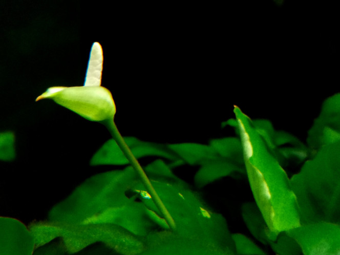 Photographie du post de Rico86 