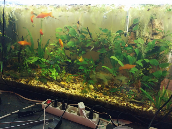 Photographie du post de laurent-galichet 