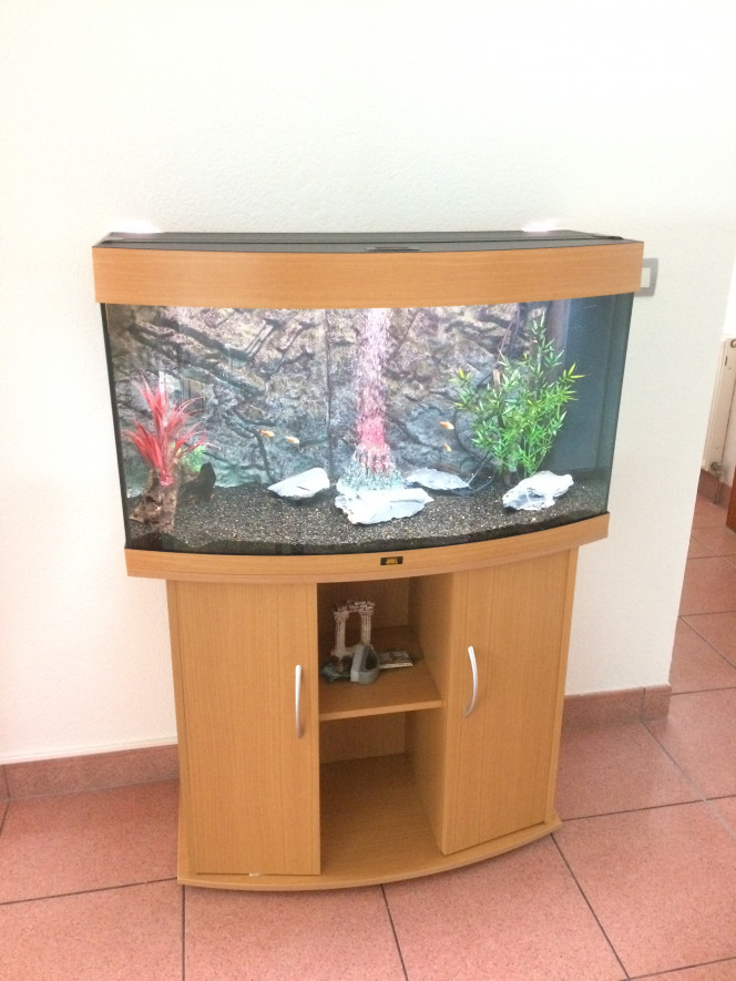 Photographie du post de dreamy68 