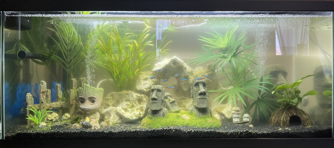 Éclairage plantes + Led 