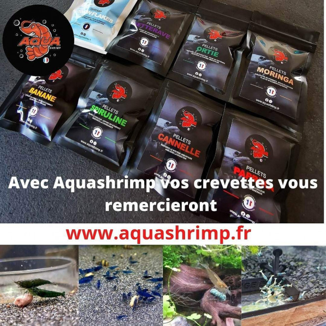 Photographie du post de Anthony55300 