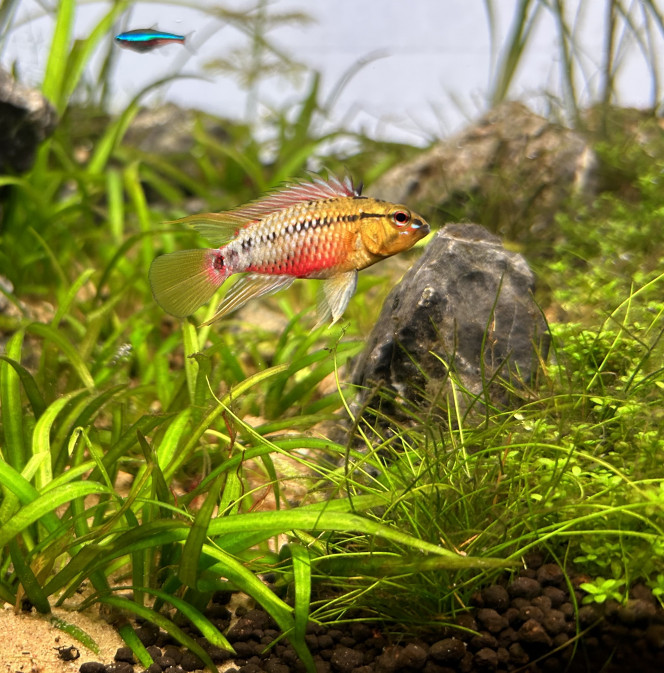 Photographie du post de Omez78 