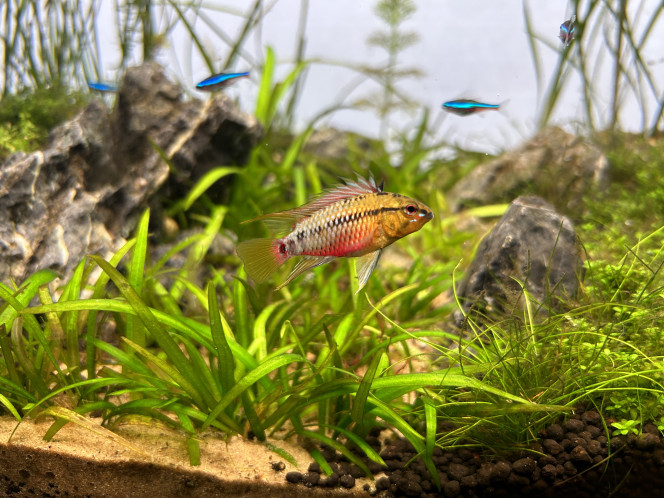 Photographie du post de Omez78 