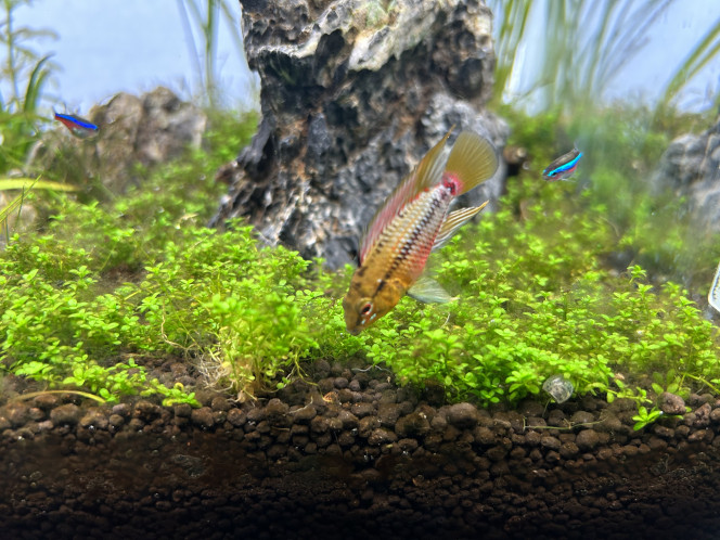 Photographie du post de Omez78 