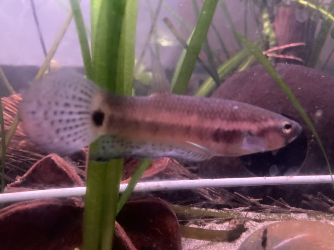 Photographie du post de Nalia 