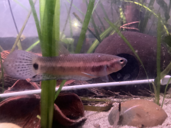 Photographie du post de Nalia 