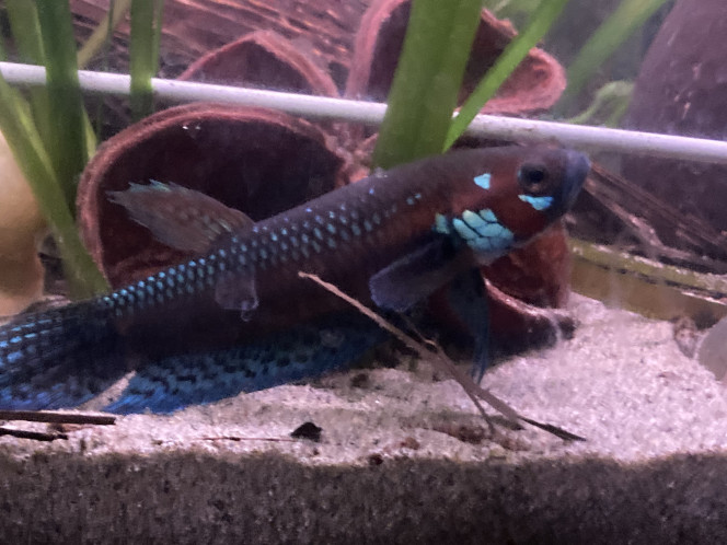 Photographie du post de Nalia 