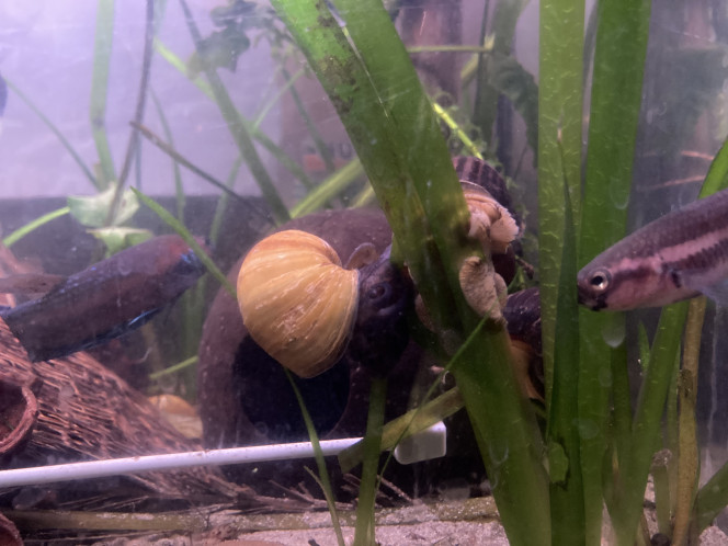 Photographie du post de Nalia 