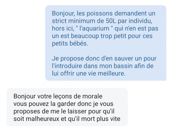 Photographie du post de Koala75000 