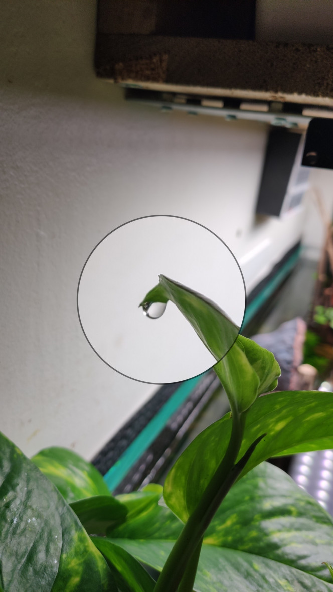 Photographie du post de TortueGeniale91 
