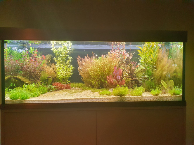 Quelques nouvelles ! 