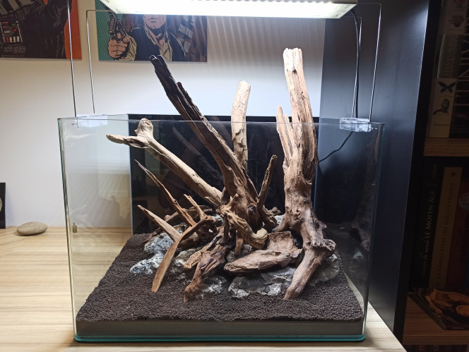  5 heures passées sur ce hardscape, j'espère au moins que ça ne flottera pas?