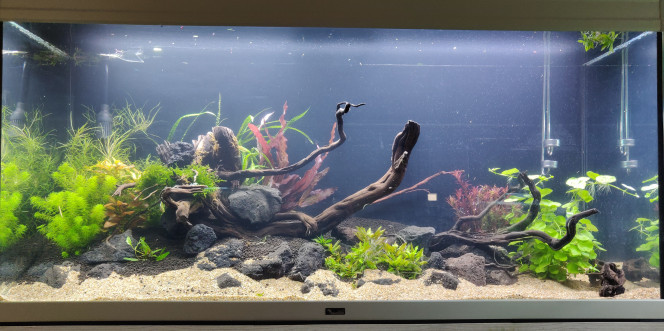 The Big One Tentative de scape 280L