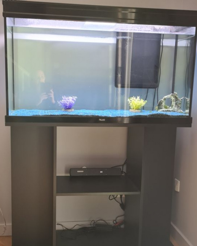 Futur acquisition :) Un nouveau bijou va venir en fin de mois 200l hihi