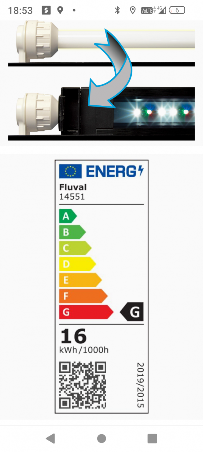 Photographie du post de Domovoi 